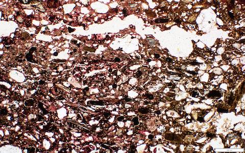 BXU6_10_a