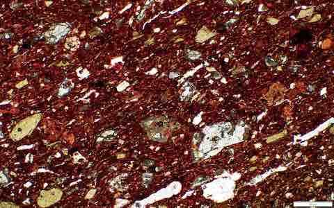 Kohin_Cave59_1