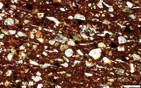 Lesu51_10