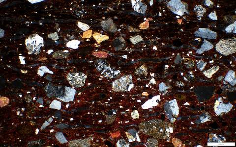 Sigatoka_45a_1222_a