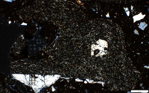 Tula_161_18D